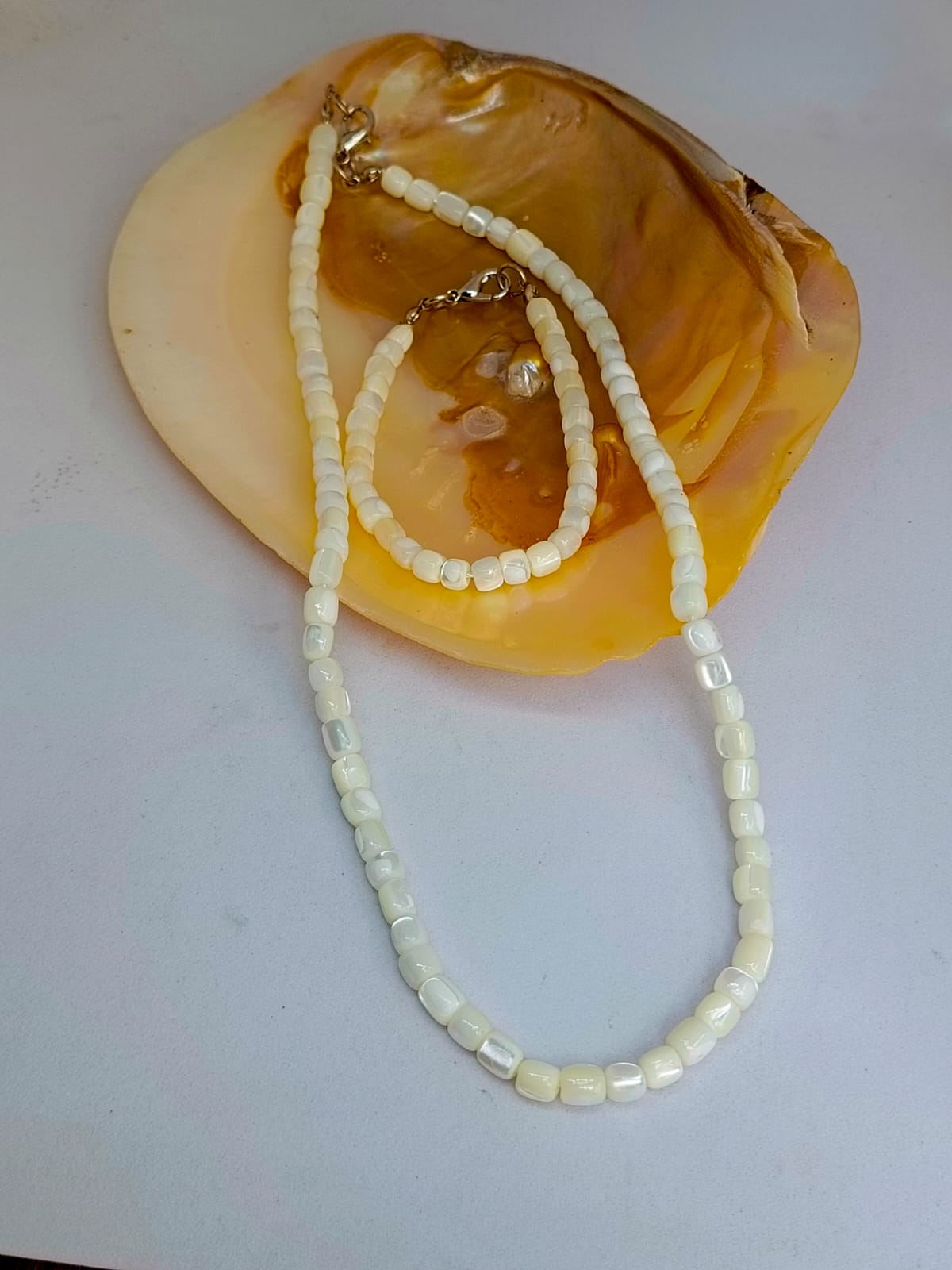 Conjunto Troca Shell