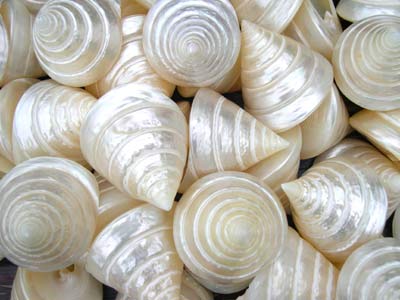 Conjunto Troca Shell